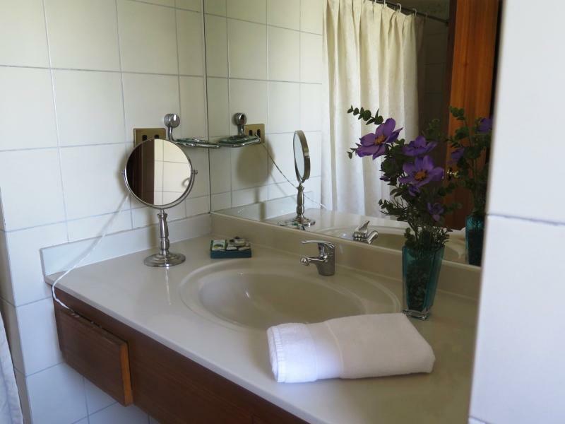 Renta Suite Menorca Santiago de Chile Exteriér fotografie